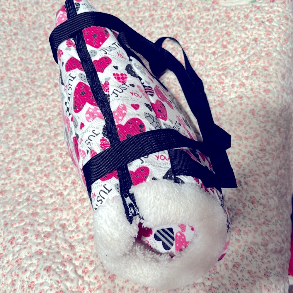 Pet carrier